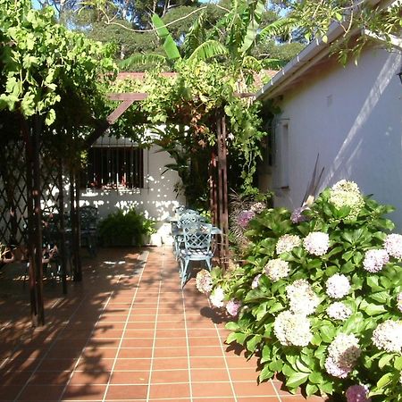 Vine Guesthouse Stellenbosch Dış mekan fotoğraf