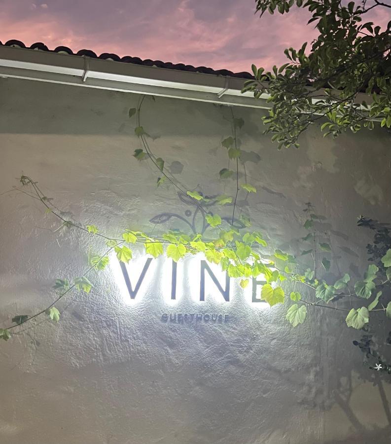 Vine Guesthouse Stellenbosch Dış mekan fotoğraf
