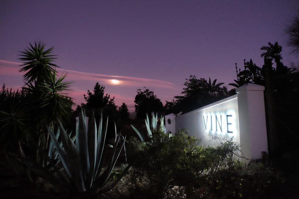 Vine Guesthouse Stellenbosch Dış mekan fotoğraf