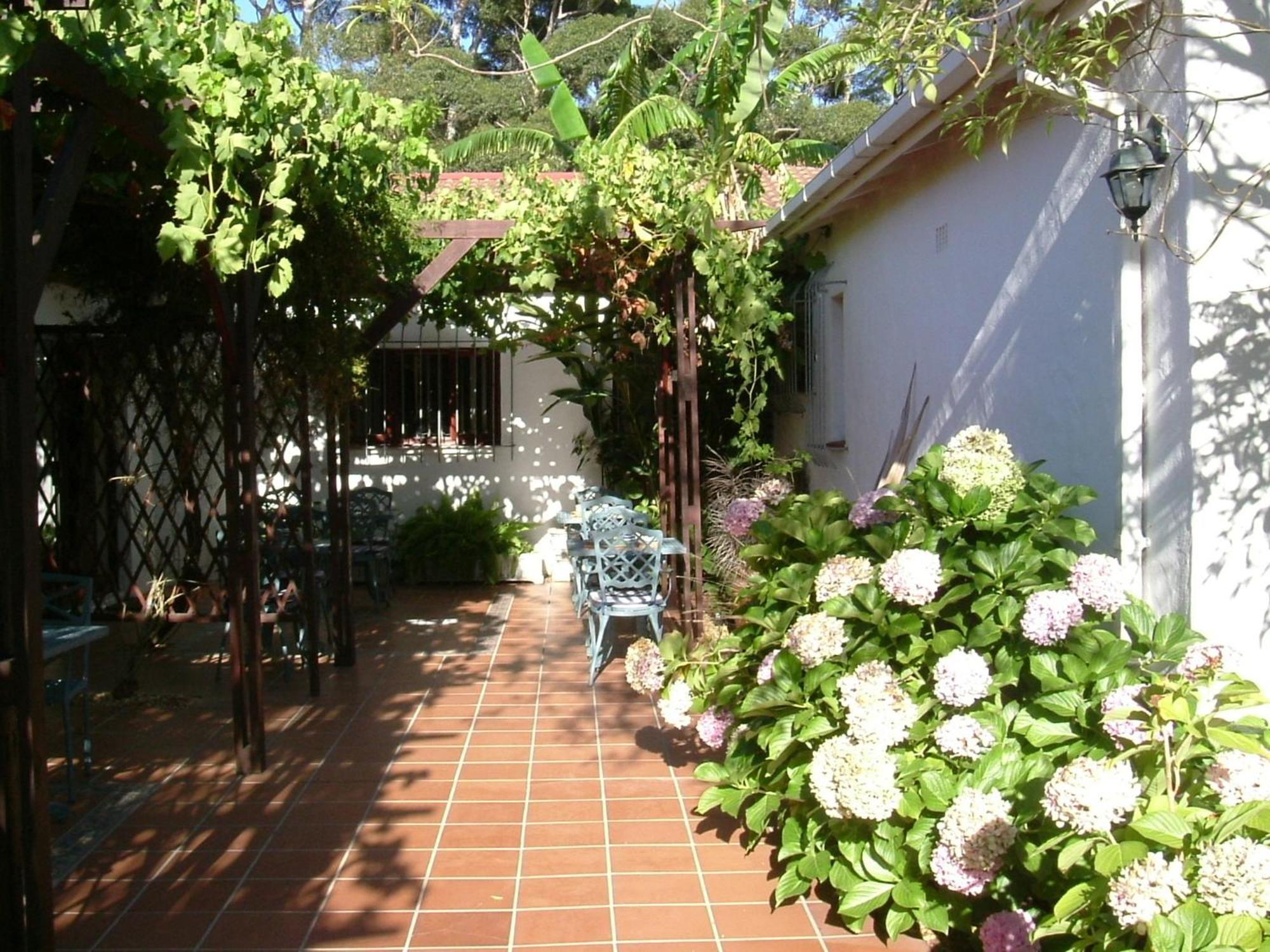 Vine Guesthouse Stellenbosch Dış mekan fotoğraf