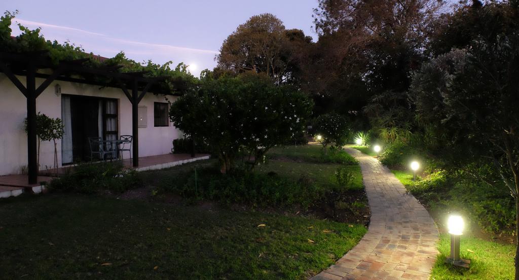 Vine Guesthouse Stellenbosch Dış mekan fotoğraf