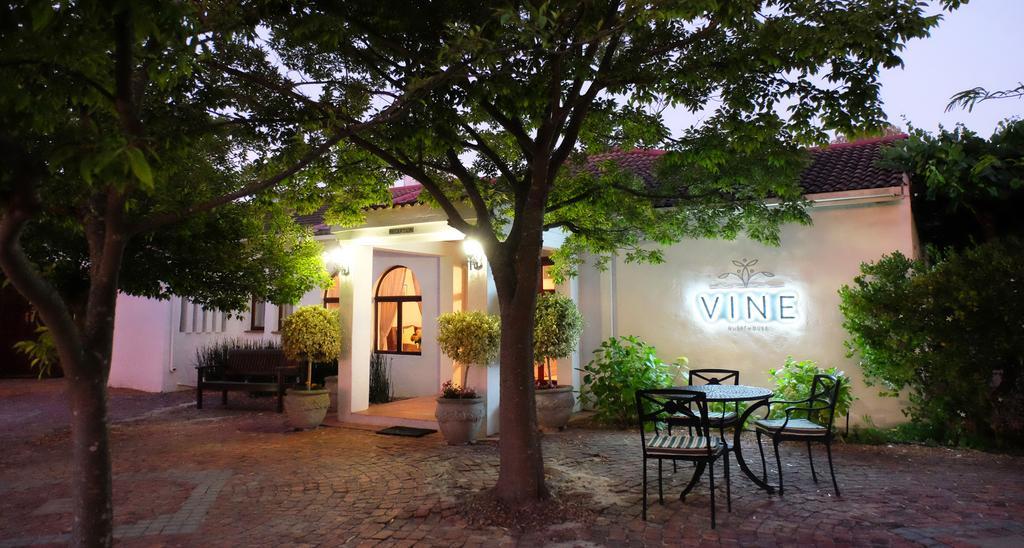 Vine Guesthouse Stellenbosch Dış mekan fotoğraf