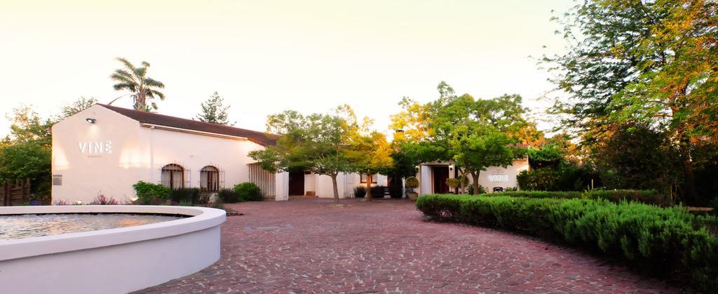 Vine Guesthouse Stellenbosch Dış mekan fotoğraf