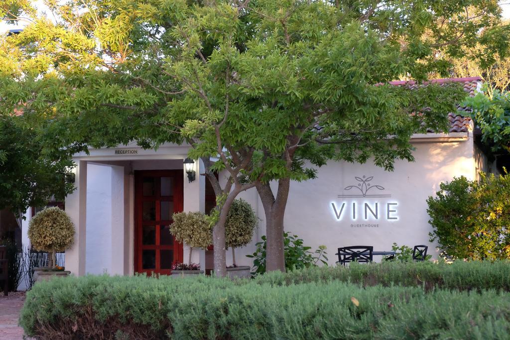 Vine Guesthouse Stellenbosch Dış mekan fotoğraf