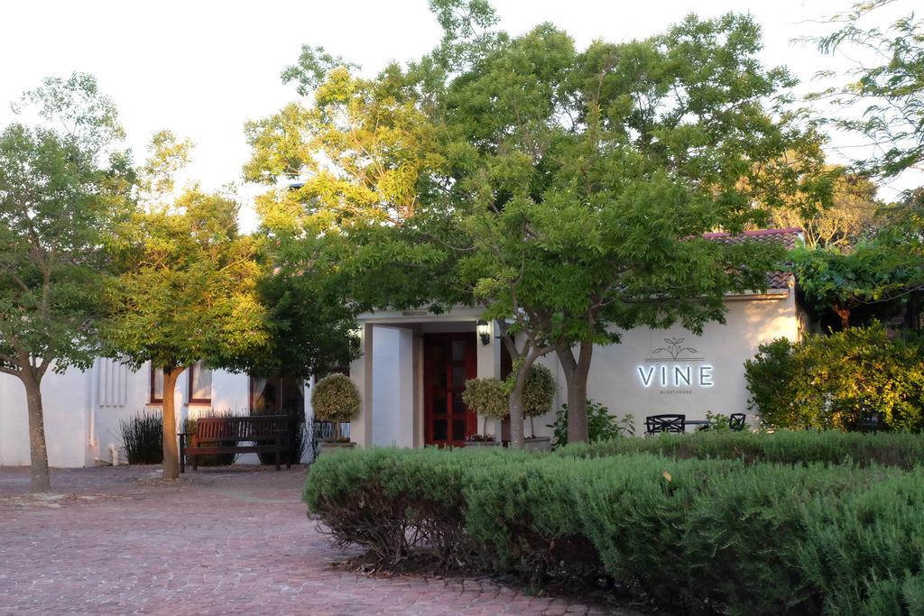 Vine Guesthouse Stellenbosch Dış mekan fotoğraf