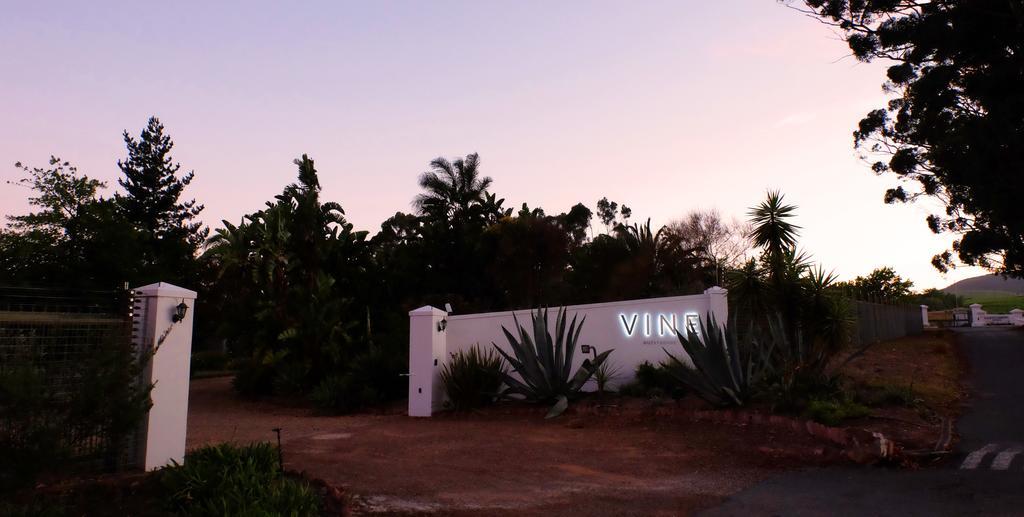 Vine Guesthouse Stellenbosch Dış mekan fotoğraf