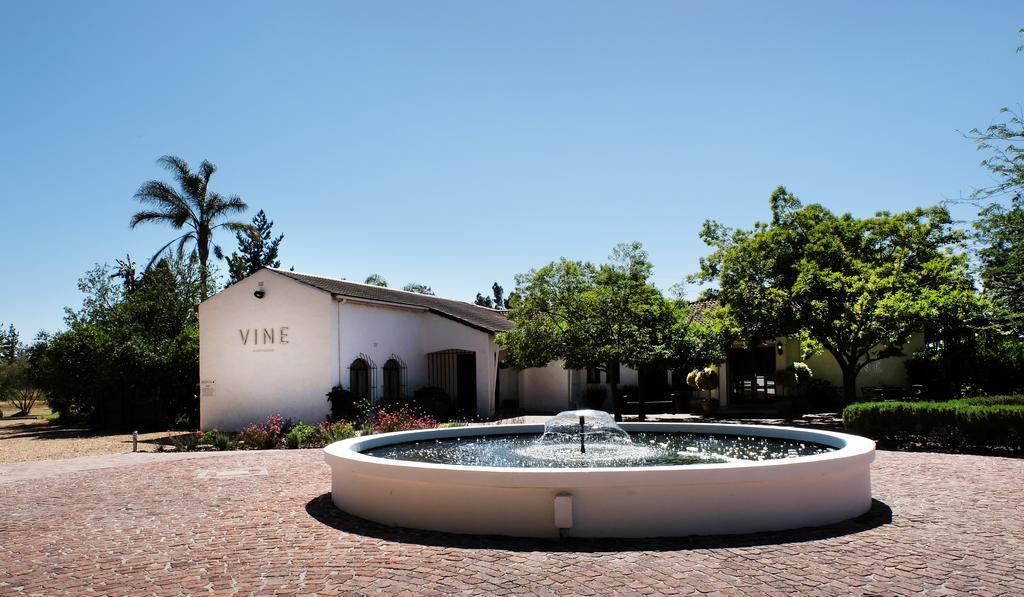 Vine Guesthouse Stellenbosch Dış mekan fotoğraf