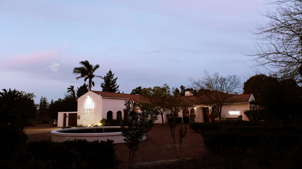 Vine Guesthouse Stellenbosch Dış mekan fotoğraf