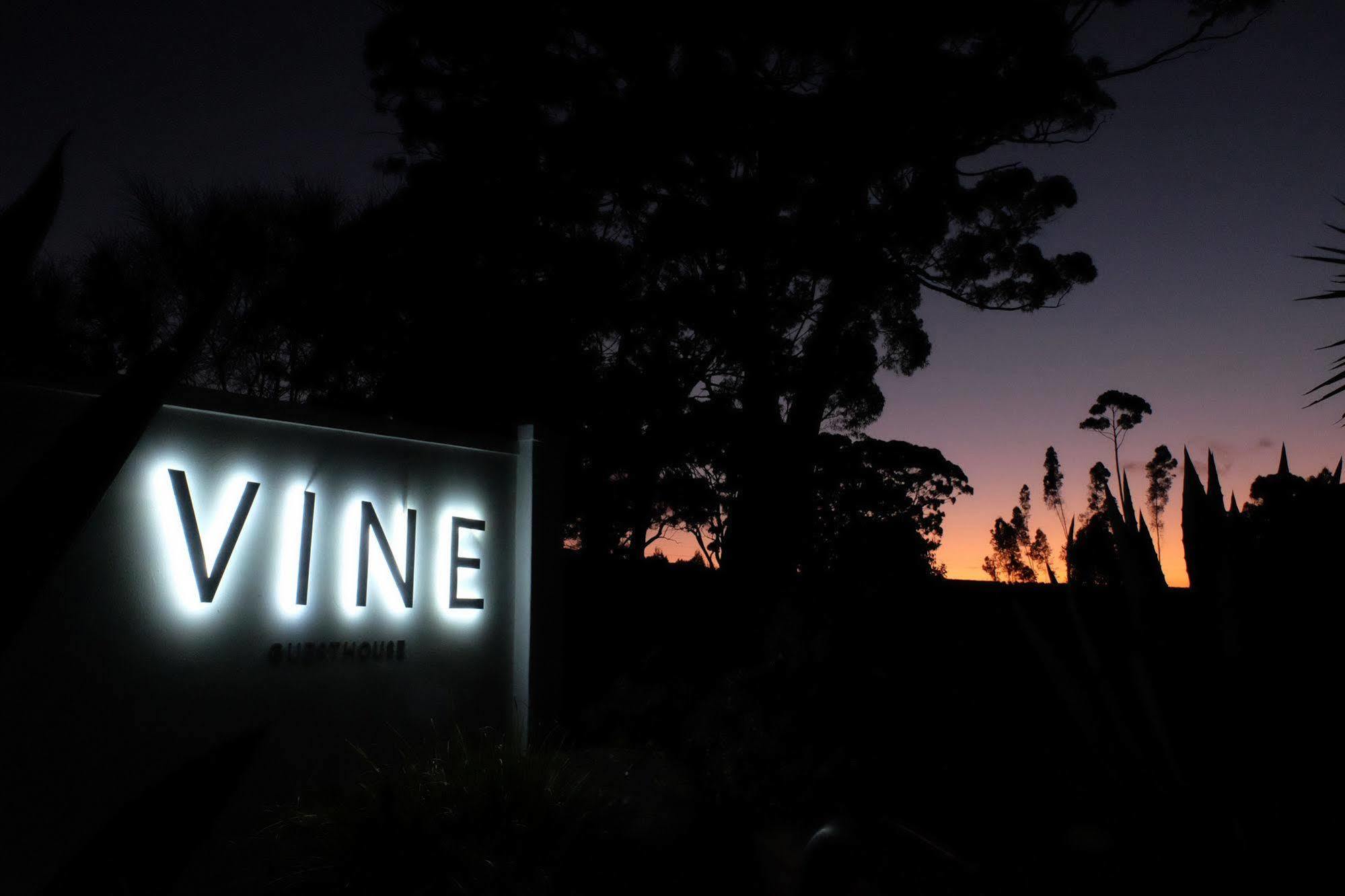 Vine Guesthouse Stellenbosch Dış mekan fotoğraf