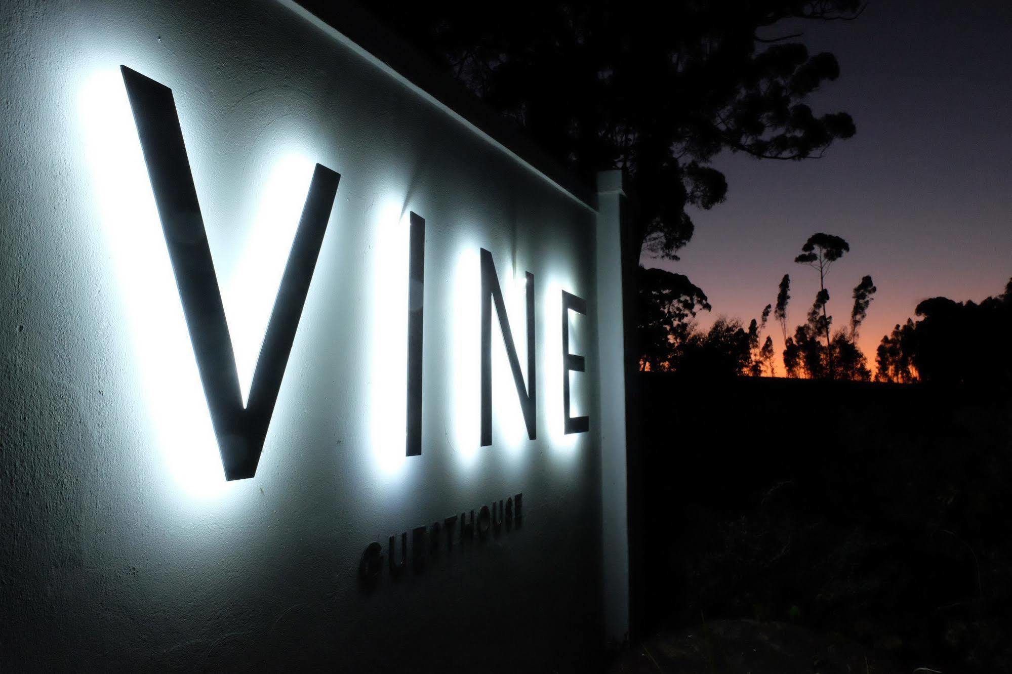 Vine Guesthouse Stellenbosch Dış mekan fotoğraf