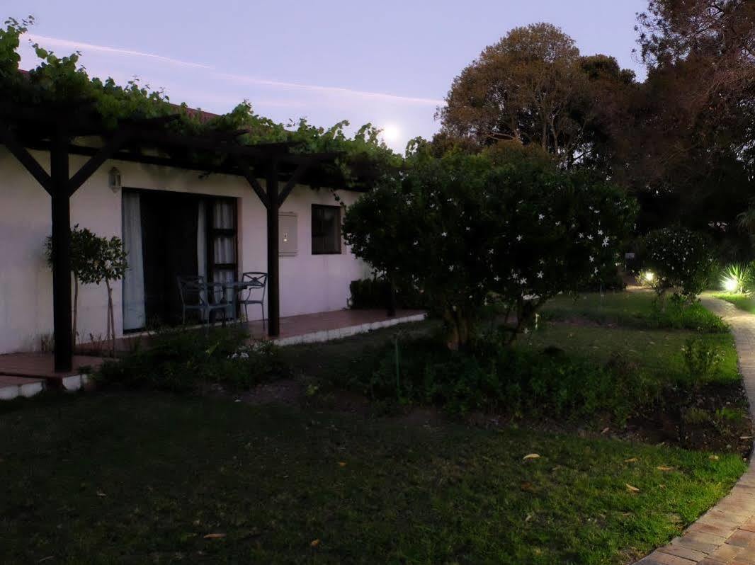 Vine Guesthouse Stellenbosch Dış mekan fotoğraf